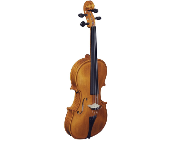 Скрипка STRUNAL 193WA - 36230 за 0 грн. | 4Club