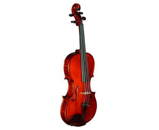 Скрипка STRUNAL 333W - 36232 за 0 грн. | 4Club