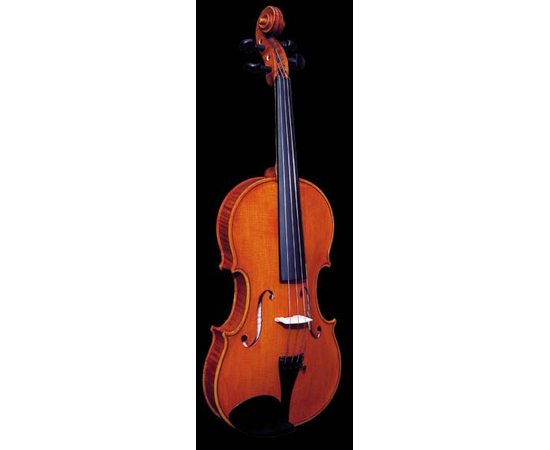 Скрипка STRUNAL 337W - 36233 за 0 грн. | 4Club