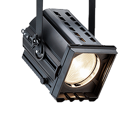 Прожектор Stage & Studio Luminaries 10SF2520G22SCH - 37619 за 0 грн. | 4Club