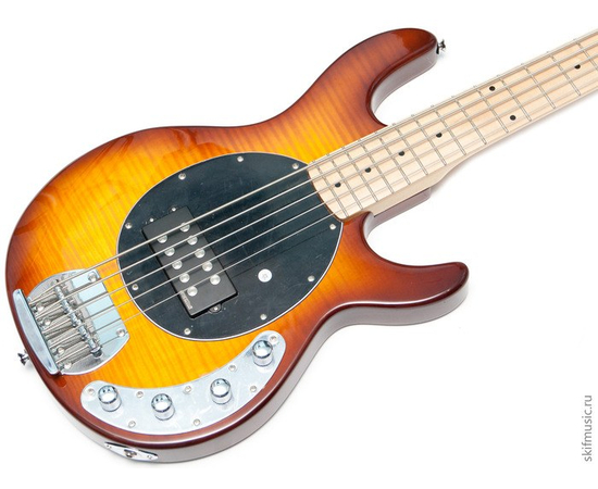 Бас-гитара VINTAGE EST-96AF - 37970 за 0 грн. | 4Club