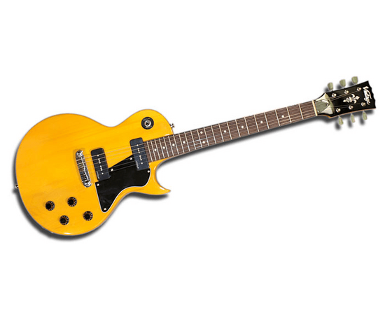 Электрогитара VINTAGE VR-100LM - 37892 за 0 грн. | 4Club