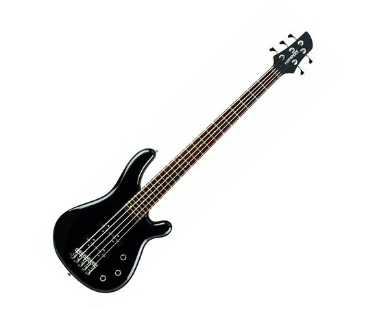 Бас-гитара FERNANDES Gravity 5 Deluxe (G5D08) - 38240 за 0 грн. | 4Club