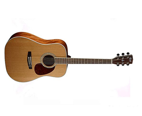 Акустическая гитара CORT Earth200 NS - 39784 за 0 грн. | 4Club