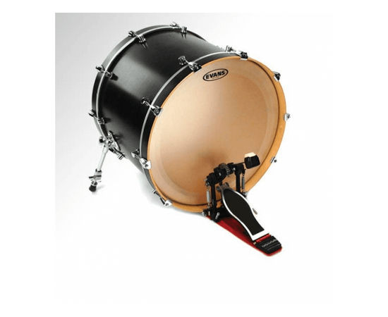 22"  пластик EVANS BD22GB3C - 41946 за 3429 грн. | 4Club