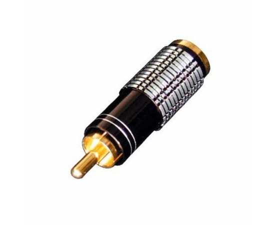 Тюльпан BESPECO MRCAL - 41379 за 0 грн. | 4Club