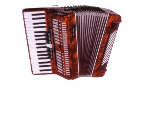 Аккордеон MAXTONE TA8037 - 43143 за 0 грн. | 4Club