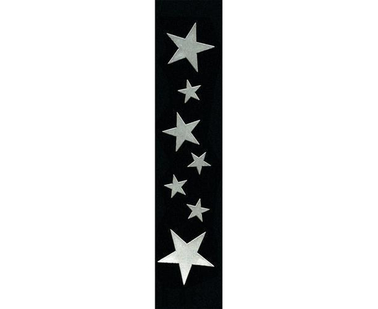 Ремень гитарный PLANET WAVES  PW25L-STRS - 43880 за 0 грн. | 4Club