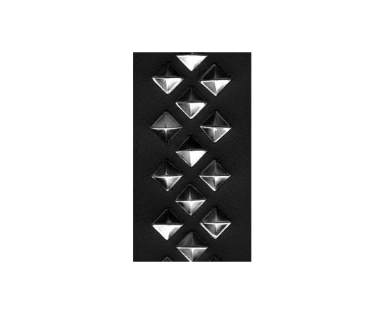 Ремень гитарный кожаный PLANET WAVES PW25LGS01 - 43889 за 0 грн. | 4Club