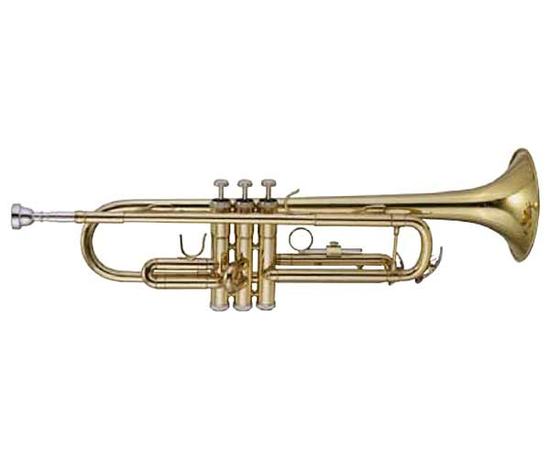 Труба MAXTONE TTC23L - 43220 за 9442 грн. | 4Club