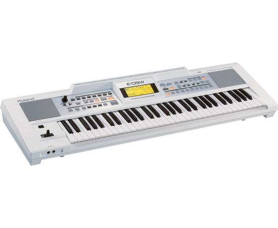 Интерактивный аранжировщик ROLAND E-09W - 47726 за 0 грн. | 4Club