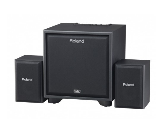 Аудио система ROLAND CUBE монитор CM-220 - 48271 за 0 грн. | 4Club