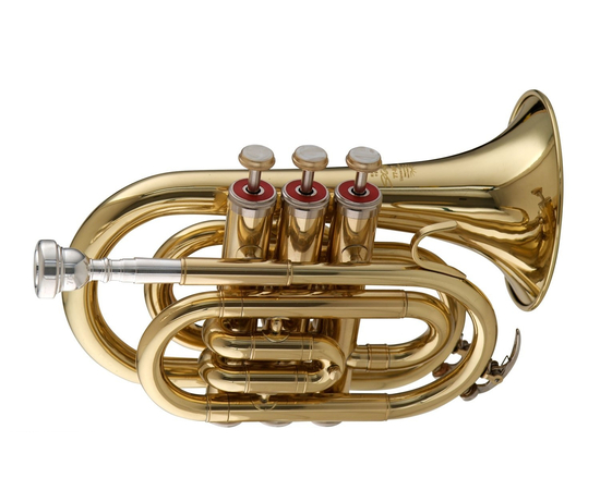 "Карманная" труба Stagg 77-MT - 51159 за 0 грн. | 4Club