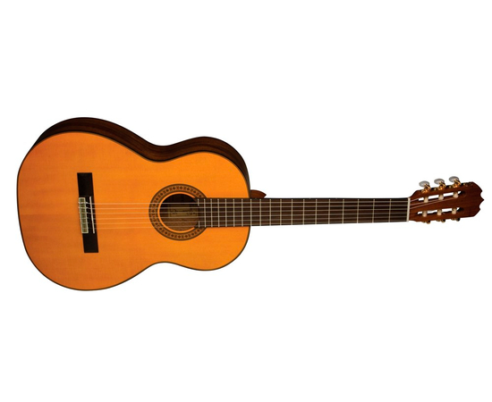 Акустическая гитара Alvarez RC210 - 52066 за 0 грн. | 4Club
