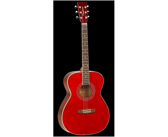 Гитарный набор Tanglewood DBT DLX F TR - 53181 за 0 грн. | 4Club