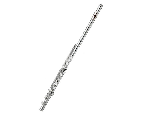 Флейта Albert Weber AWFL213 - 56046 за 0 грн. | 4Club