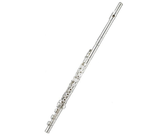 Флейта Albert Weber AWFL512 - 56047 за 0 грн. | 4Club