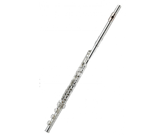 Флейта Albert Weber AWFL513 - 56048 за 0 грн. | 4Club