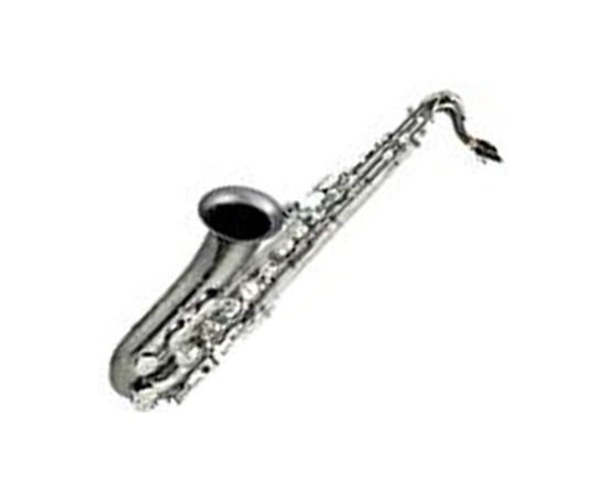 Тенор-саксофон Albert Weber AWTS67BL - 56037 за 0 грн. | 4Club