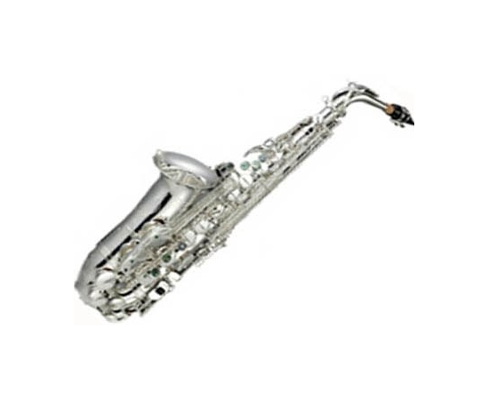 Тенор-саксофон Albert Weber AWTS67S - 56042 за 0 грн. | 4Club