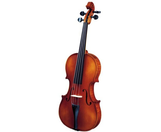 Скрипка Gliga Violin 1/10 Gems II - 59539 за 0 грн. | 4Club