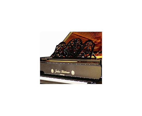 Рояль Julius Bluthner 1 Black, tarnished - 59381 за 0 грн. | 4Club