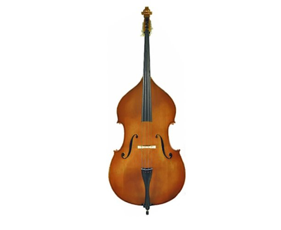 Контрабас Gliga D-bass 1/8 Gems II - 59870 за 0 грн. | 4Club
