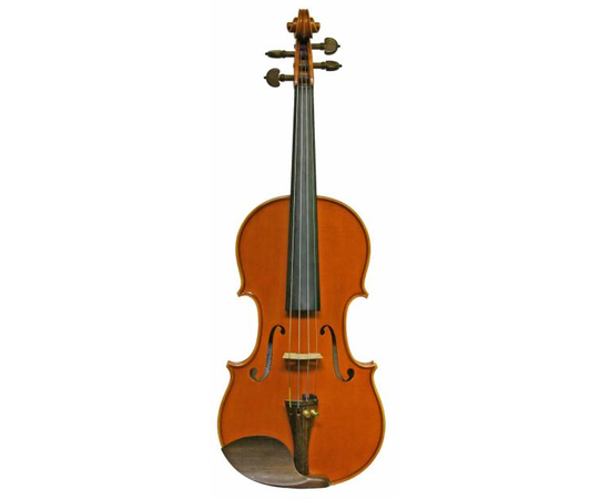 Альт Gliga Viola 16" Genial I - 59743 за 0 грн. | 4Club