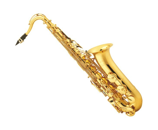 Саксофон Jupiter JTS889GL - 60513 за 0 грн. | 4Club