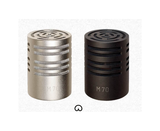 Микрофонный капсюль Microtech Gefell M 70 - 60393 за 0 грн. | 4Club