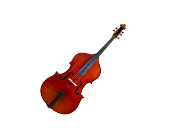 Контрабас Gliga D-bass 1/4 Gems (carved back) - 59864 за 0 грн. | 4Club