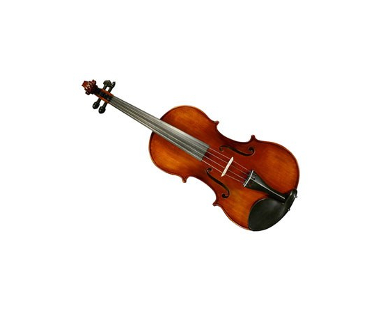 Альт Gliga Viola 14" Gama I - 59700 за 0 грн. | 4Club