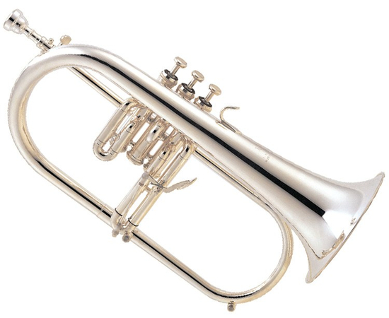 Флюгельгорн Jupiter JFH846RS - 60826 за 0 грн. | 4Club