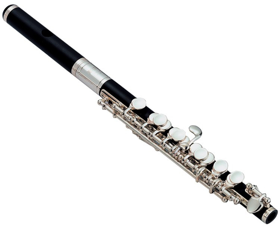 Флейта Jupiter JPC305ES - 60779 за 0 грн. | 4Club