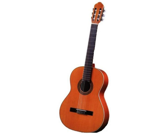 Гитара ANTONIO SANCHEZ S-1005 - 63153 за 24512 грн. | 4Club