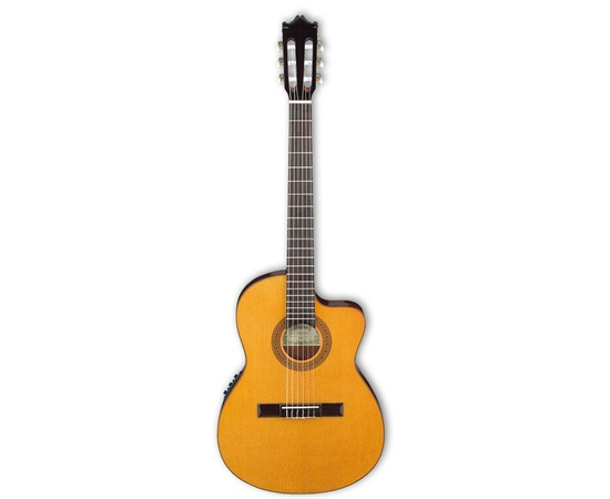 Классическая гитара IBANEZ G5TECE NT - 63675 за 0 грн. | 4Club