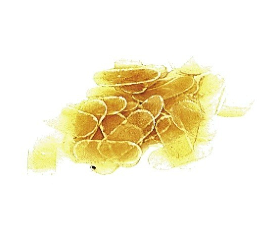 Подставка для струн скрипки Gewa 405.990 - 65544 за 0 грн. | 4Club