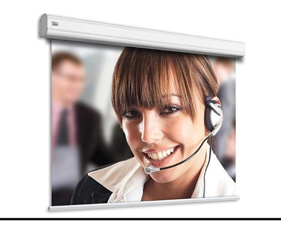 Экран Adeo Screen ручн. Professional Vision White 263x197,формат экрана 4:3 - 66575 за 0 грн. | 4Club