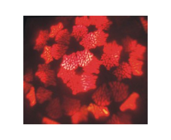 Динамический прибор NIGHTSUN SG044N, фото 