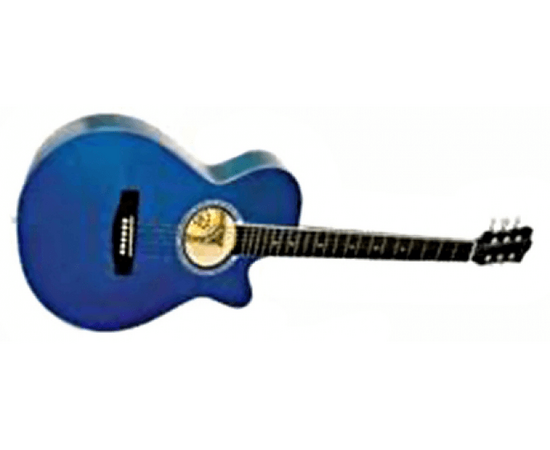 Акустическая гитара Eurofon GSW38С-BLS - 68473 за 0 грн. | 4Club