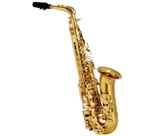 Саксофон альт EUROFON EV200-1-0 - 69149 за 0 грн. | 4Club