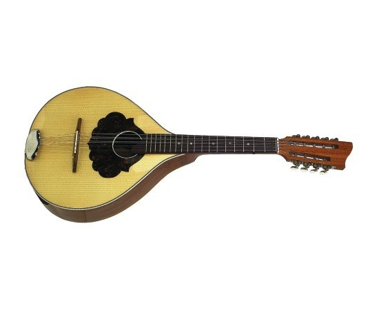 Цитра Ель/Орех Gewa 505.541 - 70697 за 0 грн. | 4Club