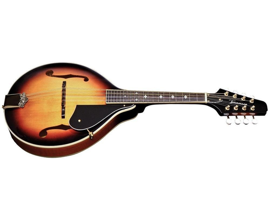 Мандолина GEWA Tennessee A-2 F-Hole Premium Sunburst 505.446 - 70690 за 0 грн. | 4Club
