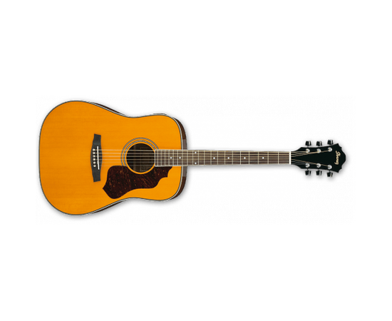 Акустическая гитара IBANEZ SGT120E ATN - 71331 за 0 грн. | 4Club