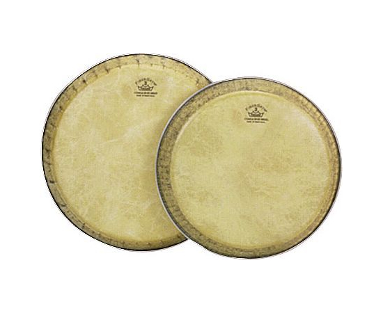 ПЛАСТИК REMO MONDO-TYPE/4 12.5" - 73529 за 0 грн. | 4Club