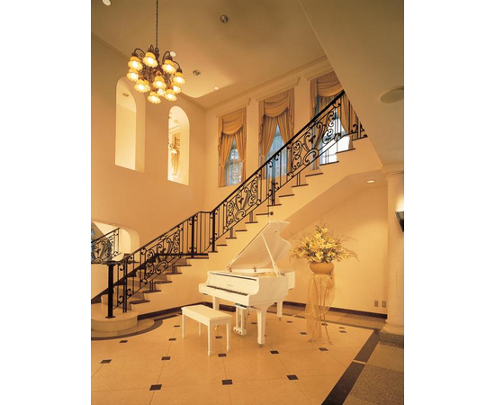 Дисклавир Yamaha DC1A PWH