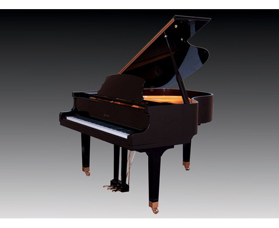 Рояль Pearl River GP160 Ebony - 77213 за 0 грн. | 4Club