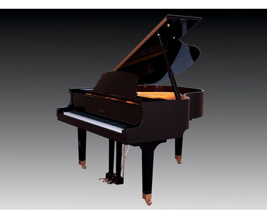 Рояль Pearl River GH148R Ebony - 77224 за 0 грн. | 4Club