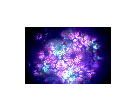 Дискотечный светоприбор  American DJ Illusion 250, фото 