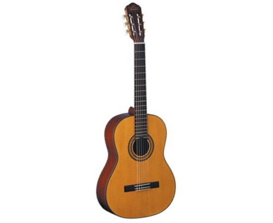 Классическая гитара Washburn OC11 - 80370 за 0 грн. | 4Club
